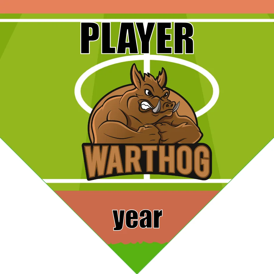 Warthog Soccer Banner-soccer-team-banner-picture