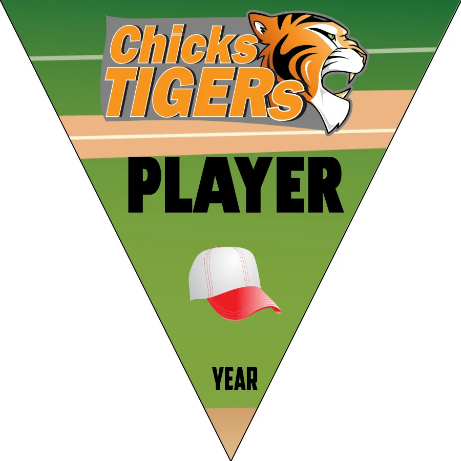 ChickTiger Softball Banner-softball-banner-backgrounds-images