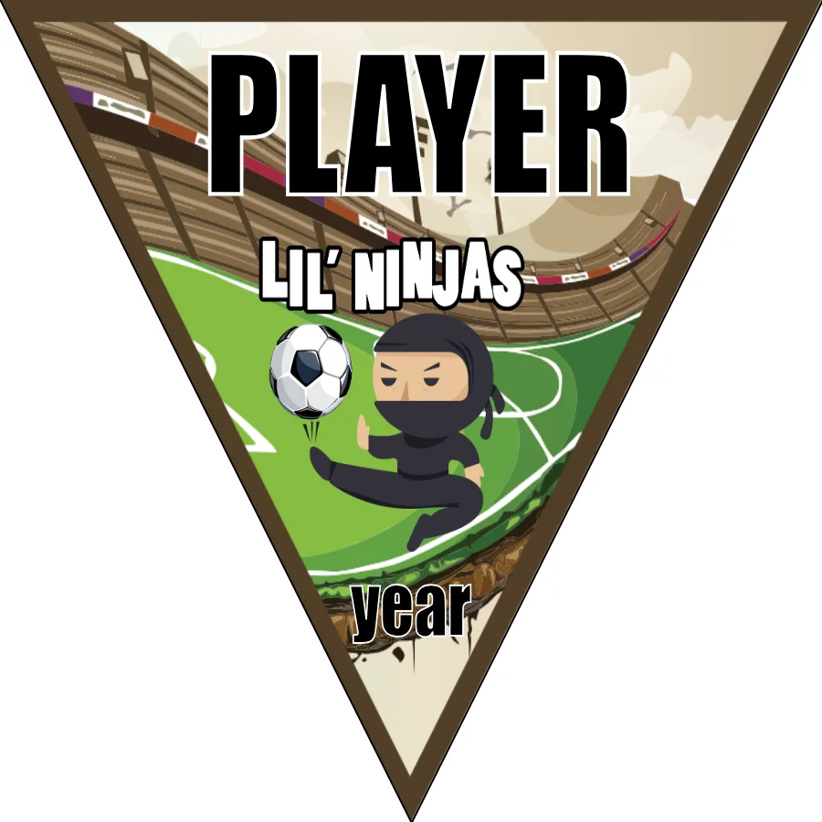 LIL NINJAS Soccer Banner-ayso-soccer-banner-size-picture