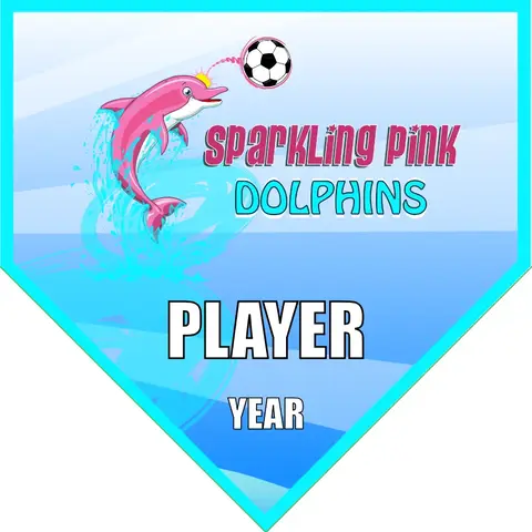 Dolphins Sparkling Pink Soccer Banner-make-soccer-team-banner-picture