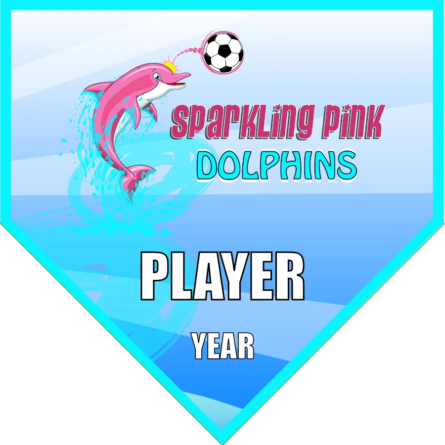 Dolphins Sparkling Pink Soccer Banner-make-soccer-team-banner-picture