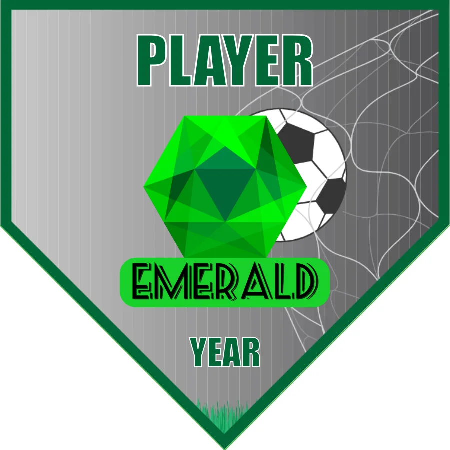 EMERALDS Soccer Banner-how-to-make-soccer-banner-stand-picture