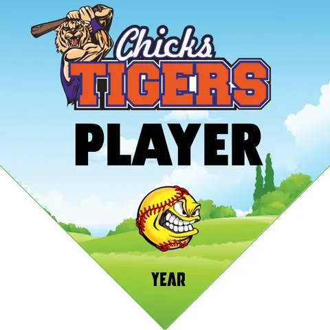 ChickTigers 2 Softball Banner-custom-softball-banners-images