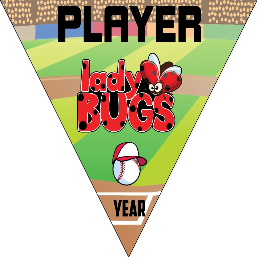 LADYbugs 2 Softball Banner-design-a-softball-banner-images