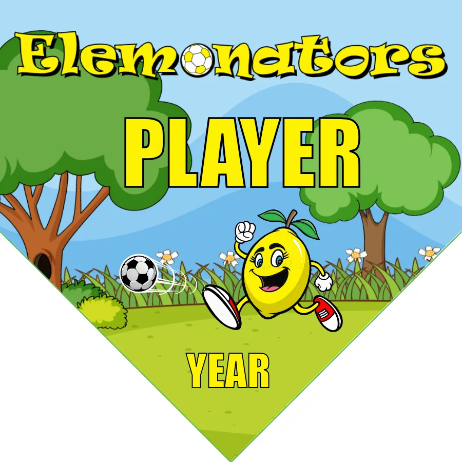 Elemonators 2 Soccer Banner-soccer-banner-size-picture