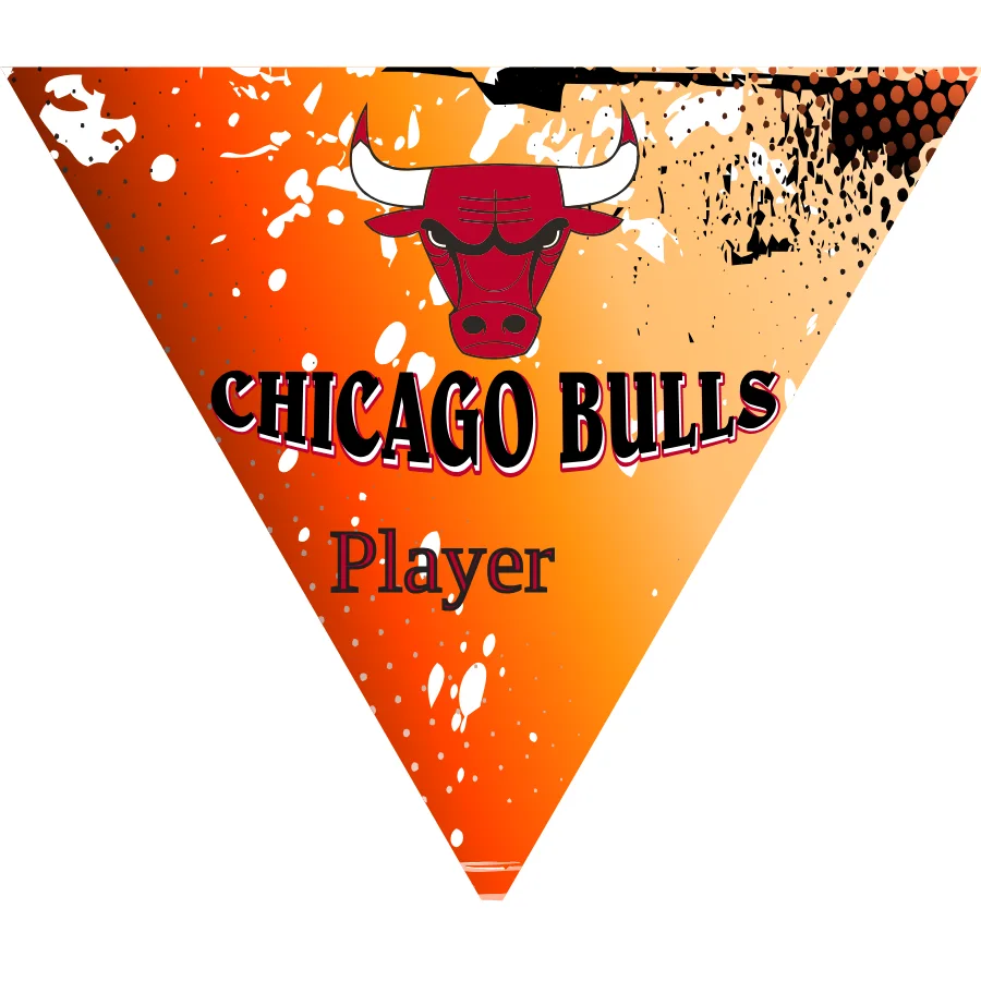 Chicago Bulls 2 Basketball Banne star spangled banner basketball game images