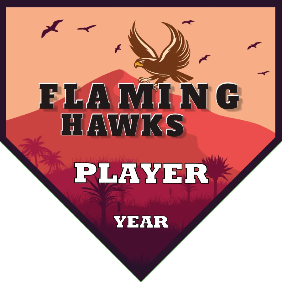 Hawks Flaming Soccer Banner-usa-soccer-team-banner-picture