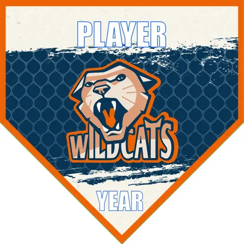 Wildcats Soccer Banner-how-to-make-a-soccer-banner-at-home-picture