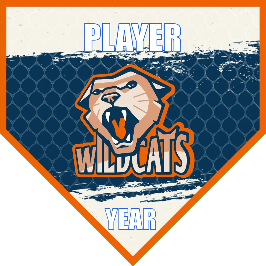 Wildcats Soccer Banner-how-to-make-a-soccer-banner-at-home-picture