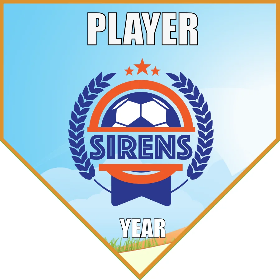 Sirens Soccer Banner-soccer-ball-banner-picture