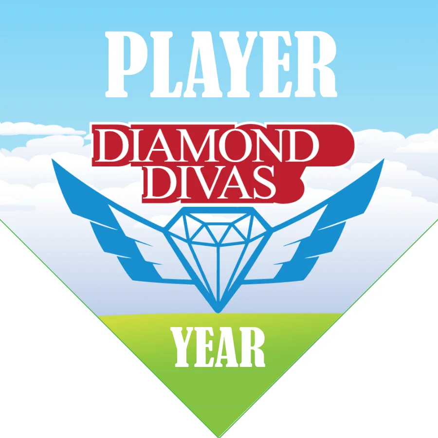 Diamond Divas 2 Softball Banner-softball-banner-ideas-images