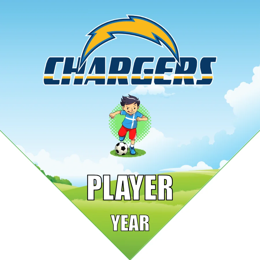 Chargers Soccer Banner-felt-soccer-banner-kit-picture