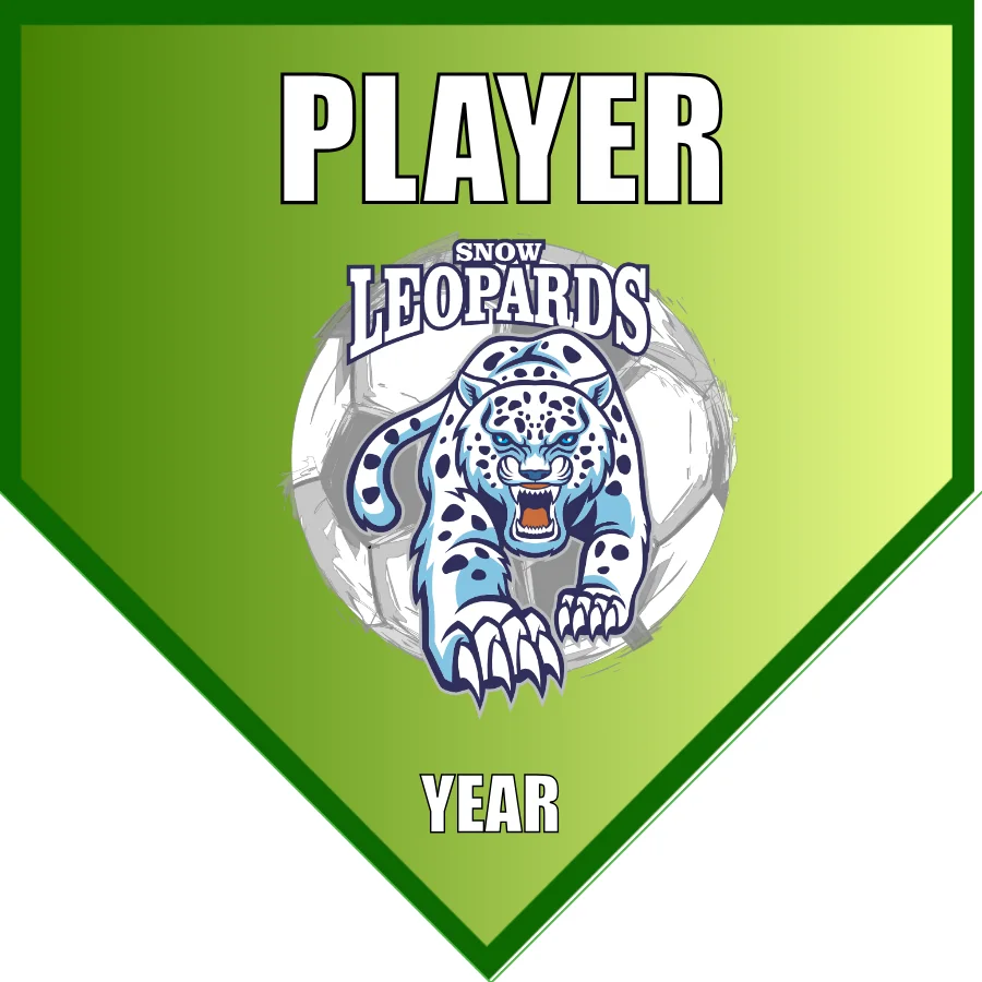 Leopards Soccer Banner-soccer-team-banners-picture
