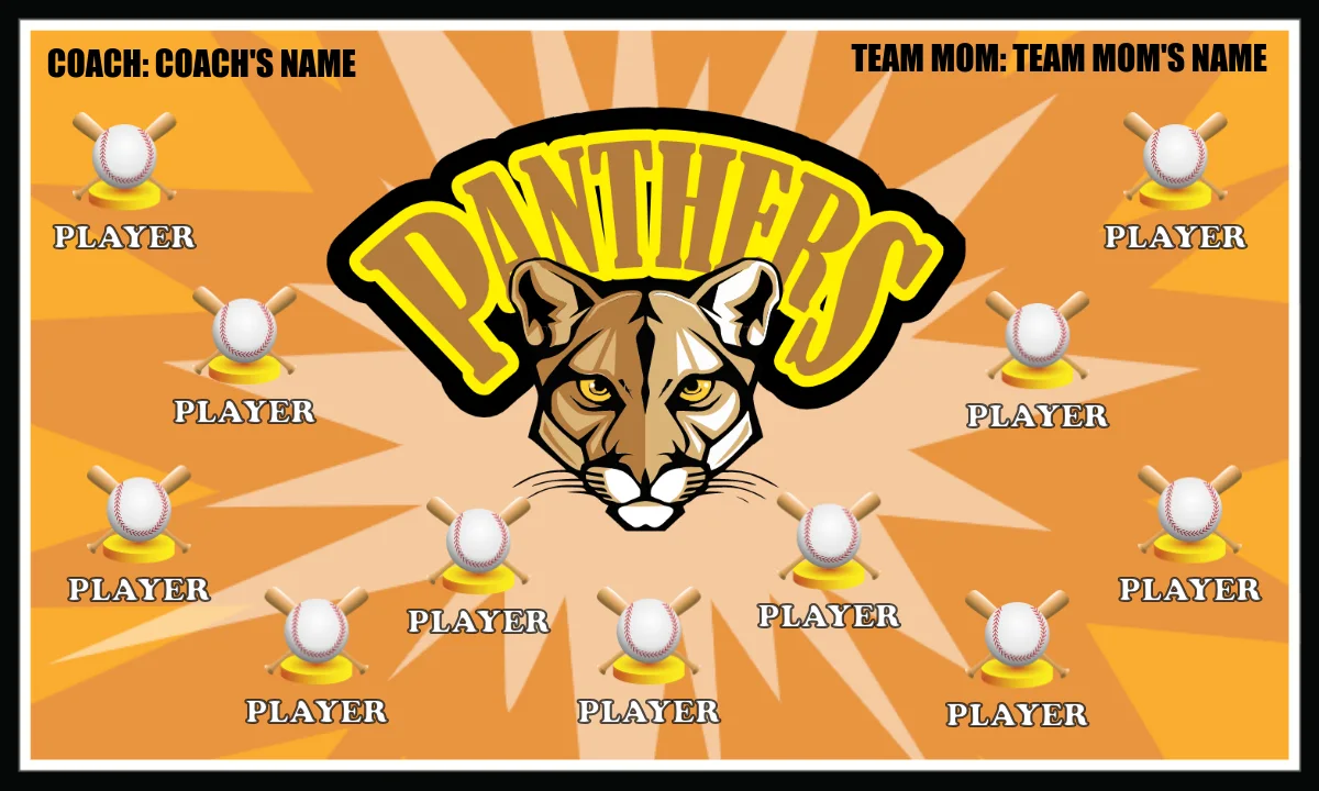 Panthers 2 Softball Banner