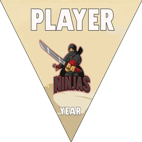 Ninjas 2 Softball Banner-softball-parade-banner-ideas-picture