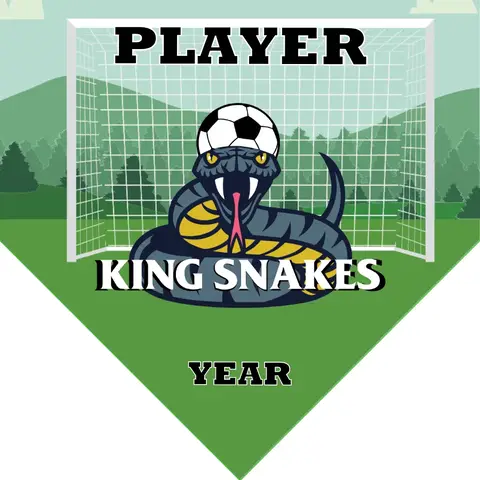 KING SNAKES Soccer Banner-soccer-breeze-banners-picture