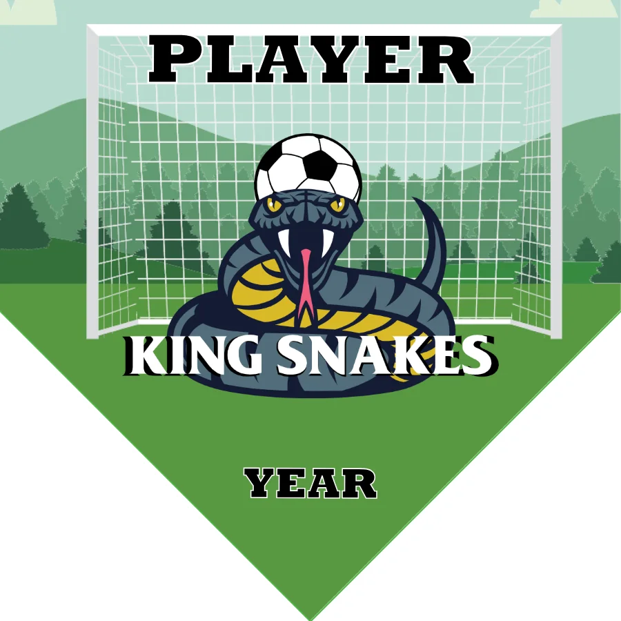 KING SNAKES Soccer Banner-soccer-breeze-banners-picture