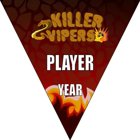 Vipers Killer Soccer Banner-soccer-banner-pole-kit-picture