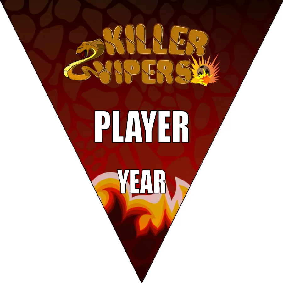 Vipers Killer Soccer Banner-soccer-banner-pole-kit-picture