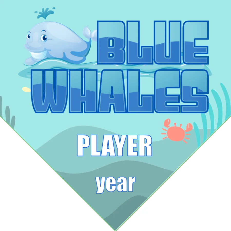 Whales Blue Soccer Banner-soccer-banners-for-sale-picture