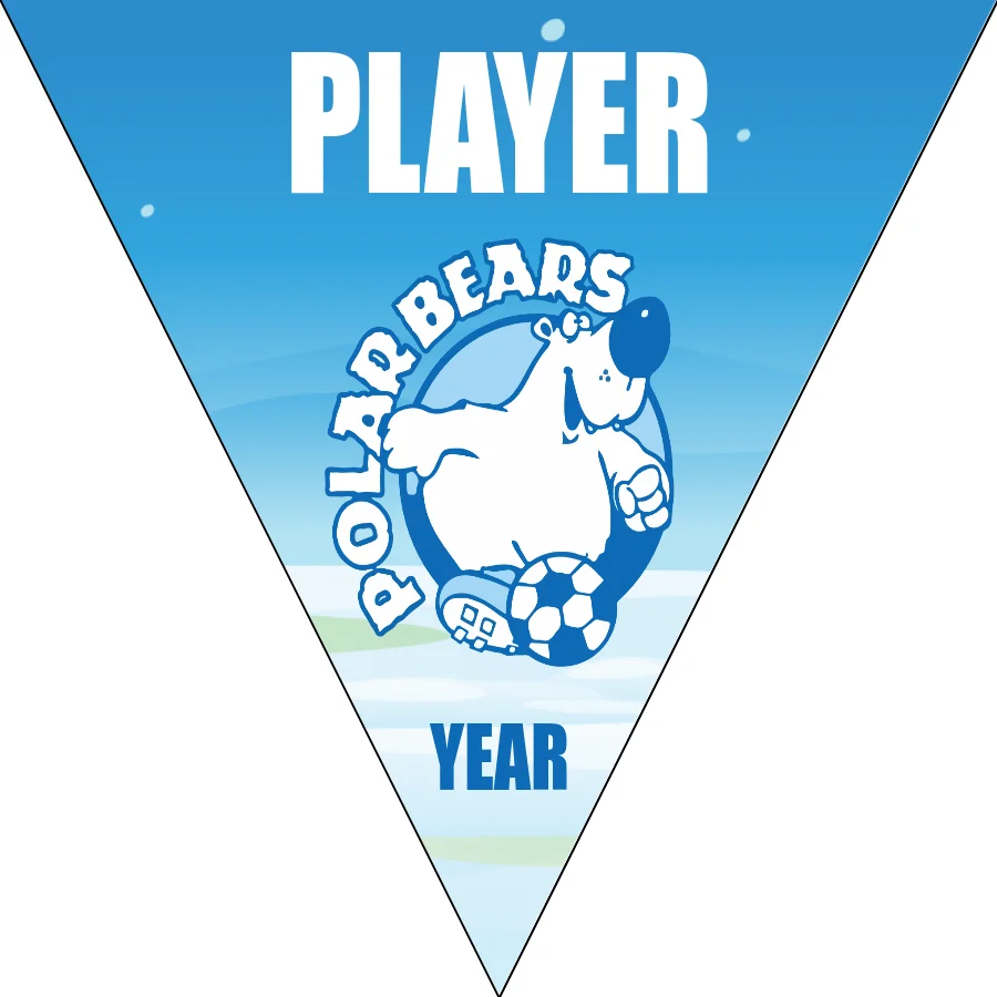 Polar Bears Soccer Banner-banner-soccer-image