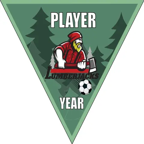 Lumberjacks Soccer Banner-soccer-banner-flags-picture