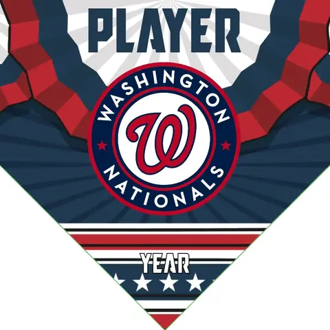 Washington Nationals Baseball Banner-baseball-banner-vector-images