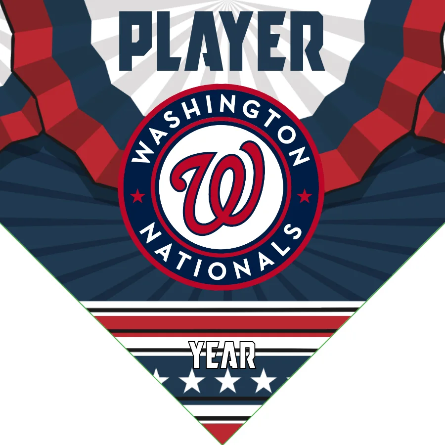 Washington Nationals Baseball Banner-baseball-banner-vector-images