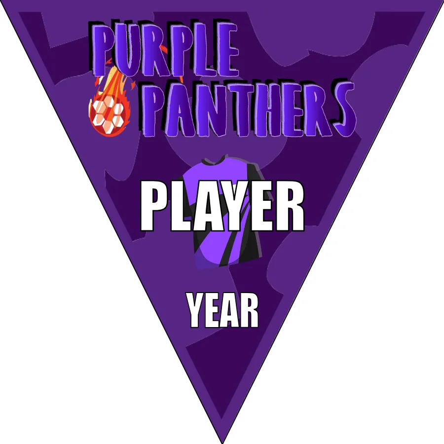 Panthers Purple Soccer Banner-soccer-team-banners-ayso-picture