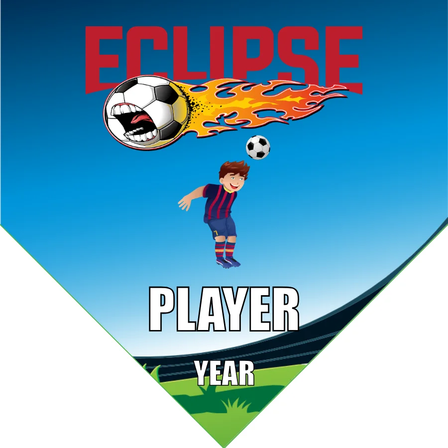 Eclipse Soccer Banner-soccer-banners-with-stand-picture