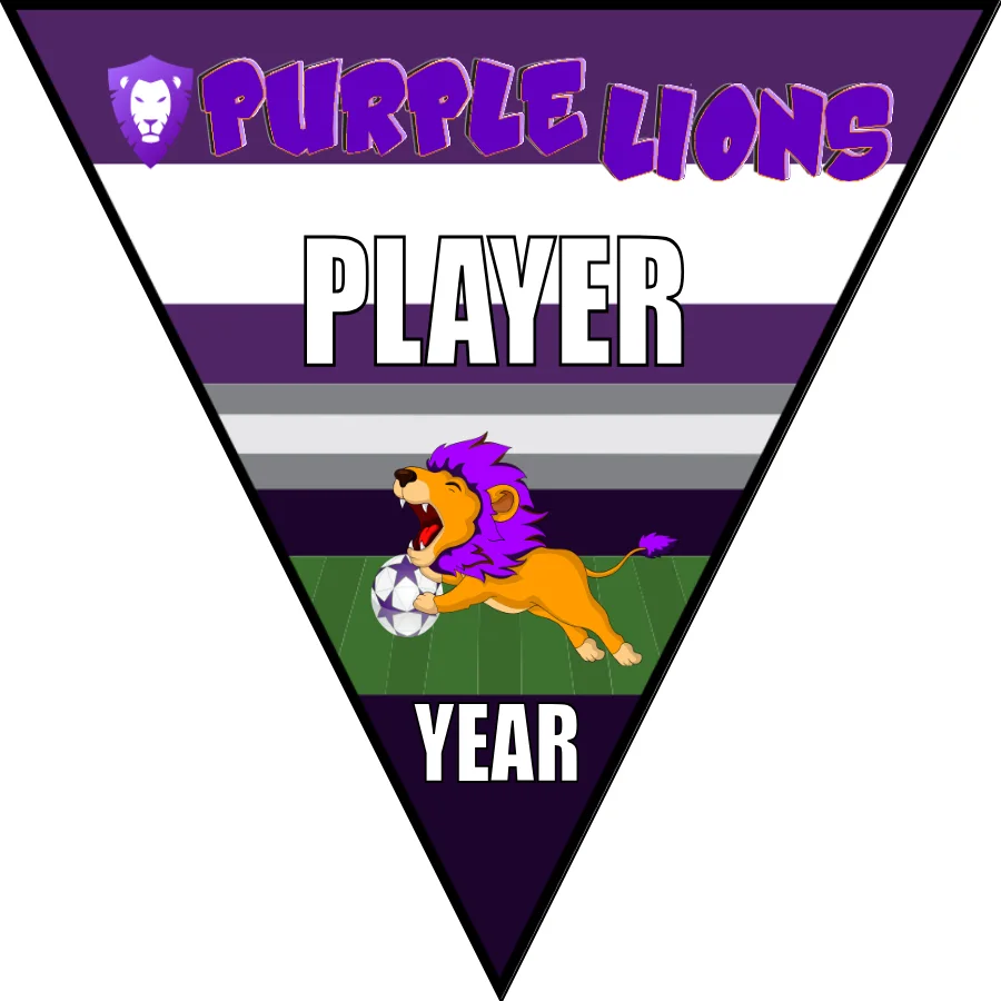 Lion Purple Soccer Banner-nike-soccer-banner-picture