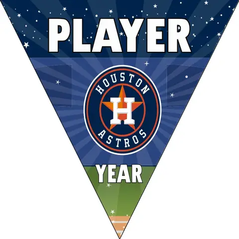 Houston 2 Baseball Banner-diy-baseball-birthday-banner-images