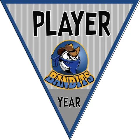 Bandits 2 Soccer Banner-ayso-soccer-banner-stand-picture