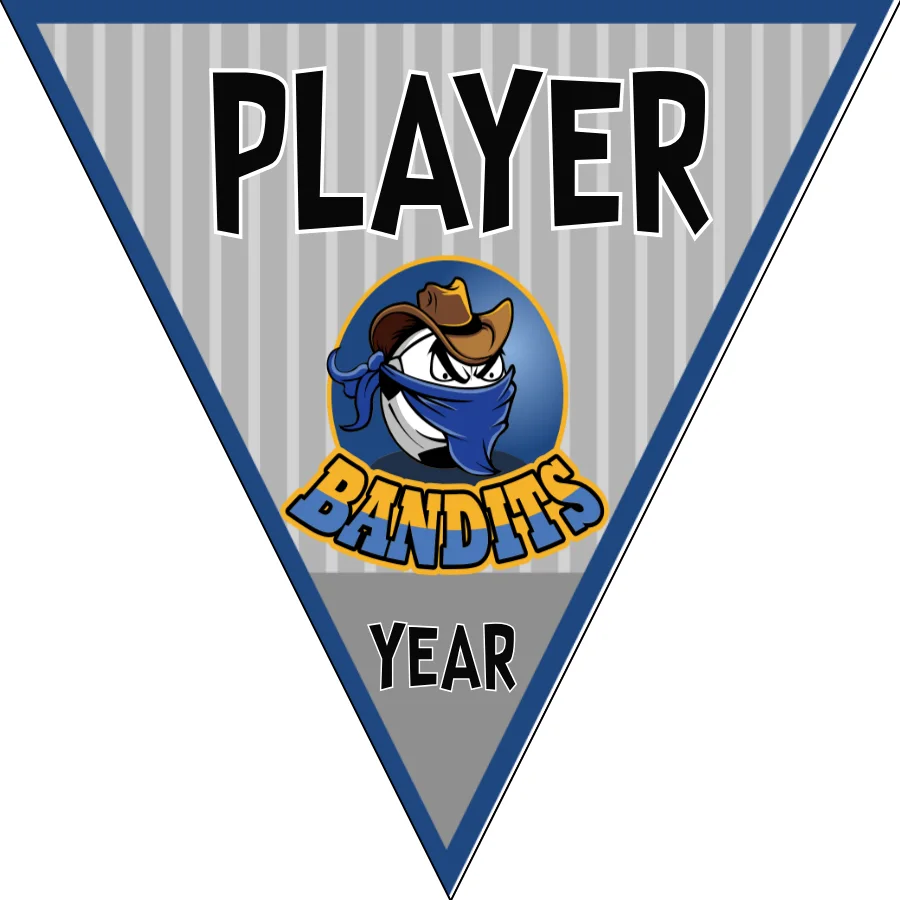 Bandits 2 Soccer Banner-ayso-soccer-banner-stand-picture