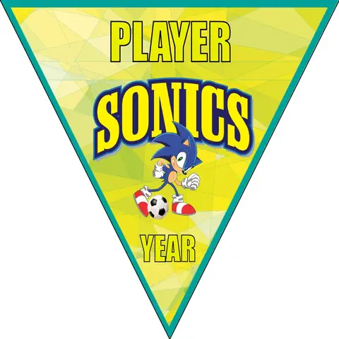 Sonic Soccer Banner-how-to-make-a-soccer-banner-stand-picture