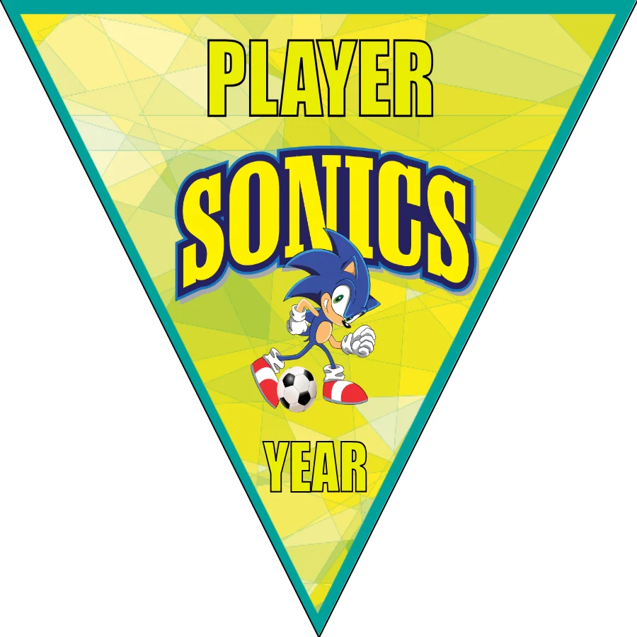 Sonic Soccer Banner-how-to-make-a-soccer-banner-stand-picture