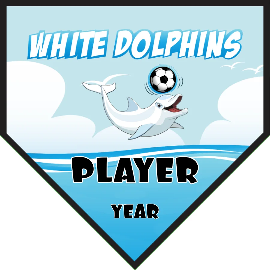 Dolphins White Soccer Banner-usa-soccer-team-banner-picture