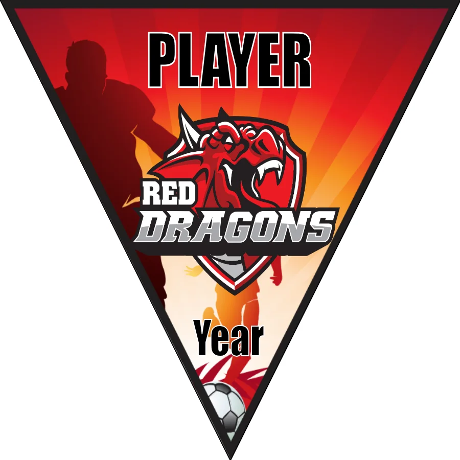 Dragons Soccer Banner-soccer-banners-and-flags-picture