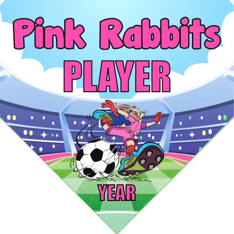 Pink Rabbits Soccer Banner