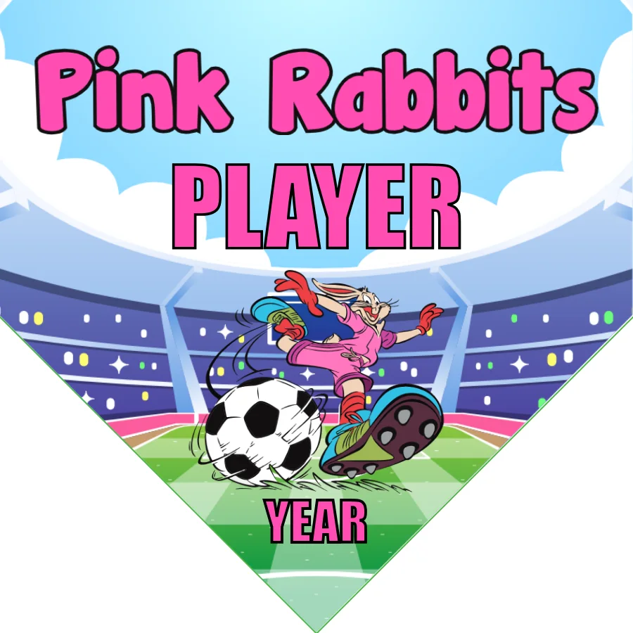 Pink Rabbits Soccer Banner