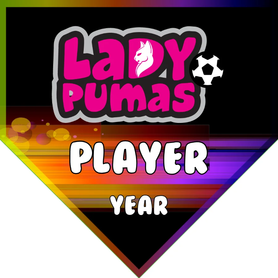 Ladypumas Soccer Banner-soccer-banner-pictures-picture