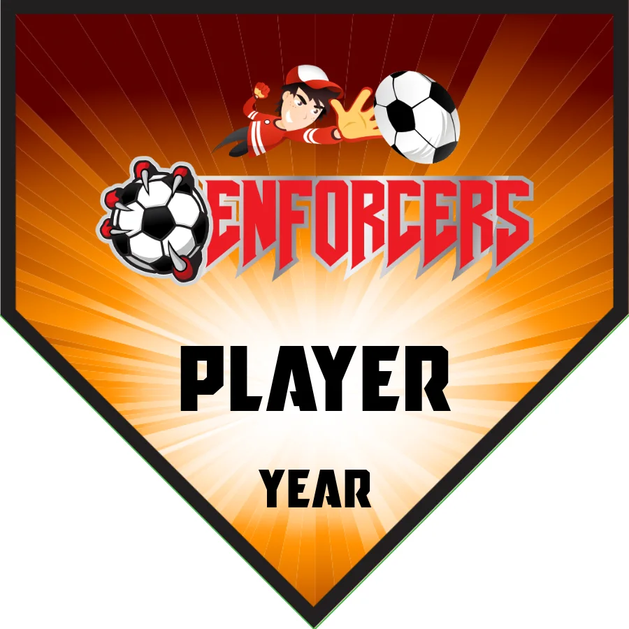 Enforcer Soccer Banner-soccer-banners-riverside-ca-picture