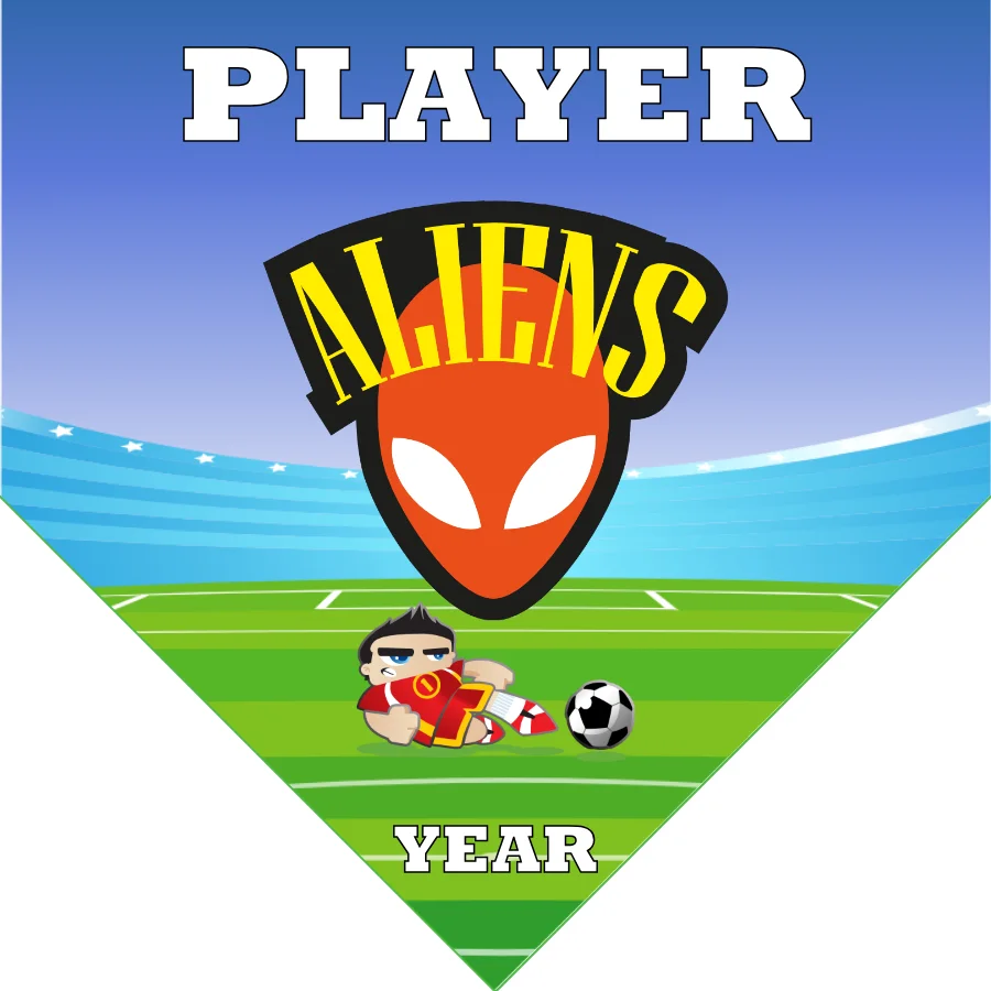 Allien Soccer Banner-soccer-banner-stand-picture