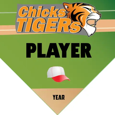 ChickTiger Softball Banner-softball-banner-templates-images