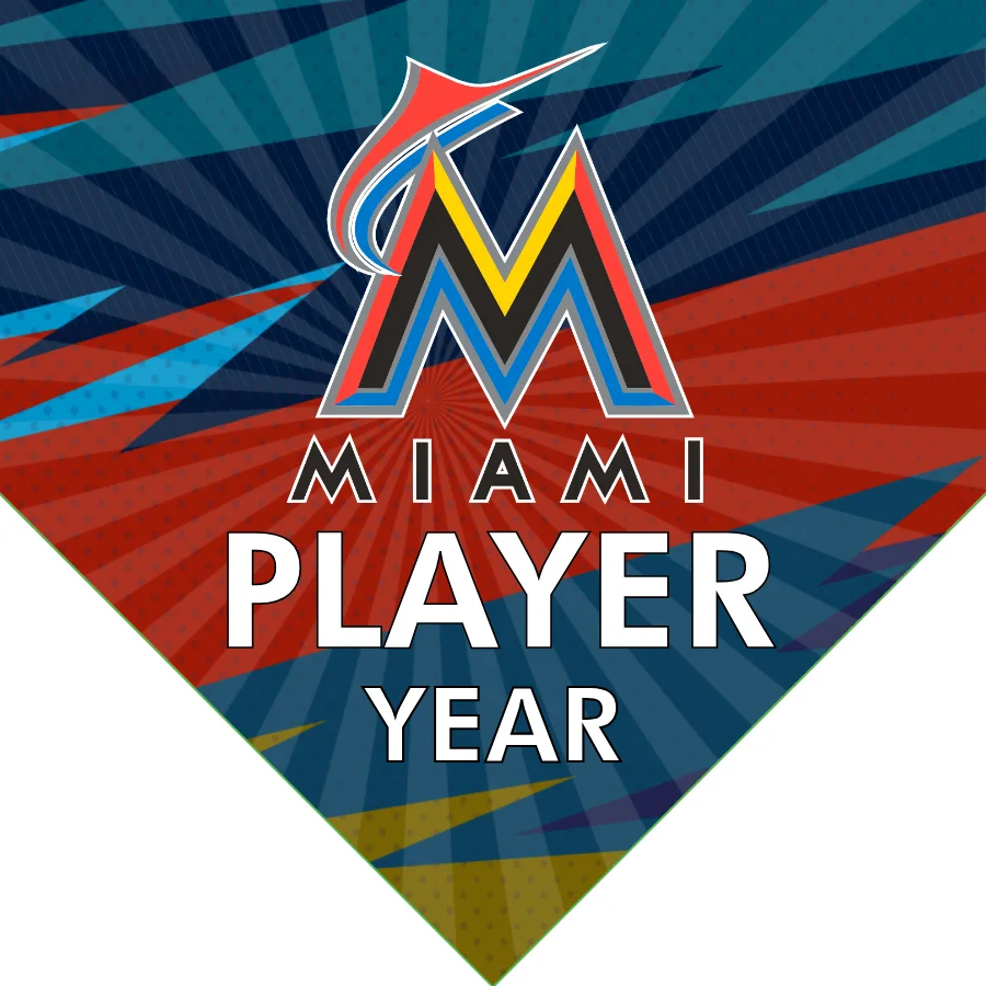 Miami Baseball Banner-star-spangled-banner-baseball-game-images