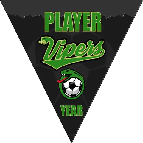 Vipers 1 Soccer Banner-soccer-team-banner-ideas-picture
