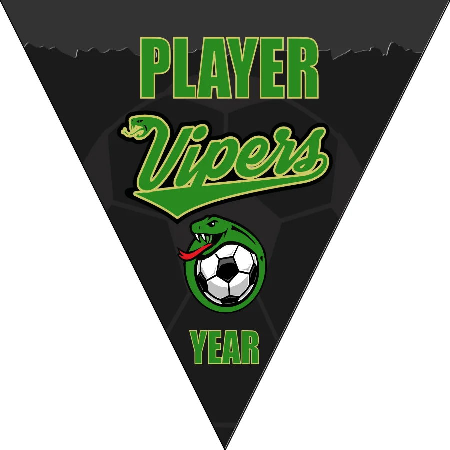 Vipers 1 Soccer Banner-soccer-team-banner-ideas-picture