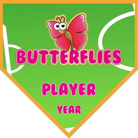 Butterflies Soccer Banner-england-soccer-banner-picture