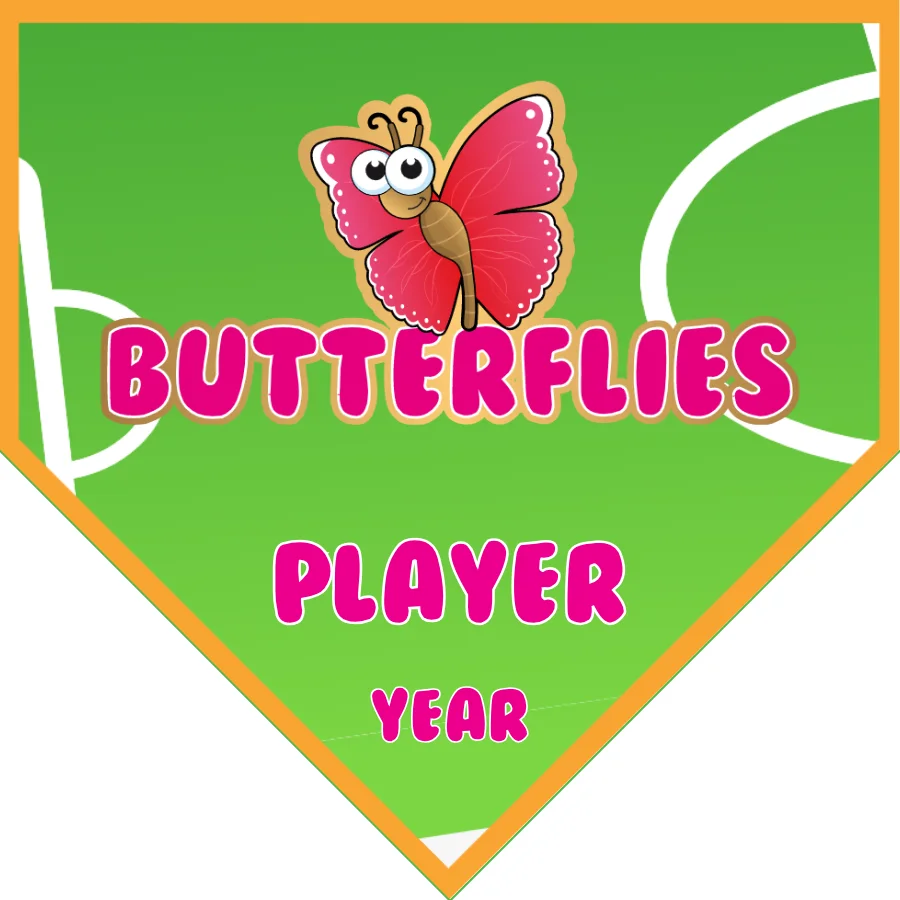 Butterflies Soccer Banner-england-soccer-banner-picture