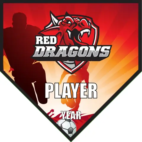 Dragons Soccer Banner-vinyl-soccer-team-banner-picture